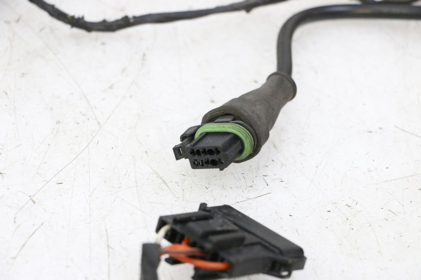 photo de WIRE HARNESS PIAGGIO LXV 4T 50 (2009 - 2013)