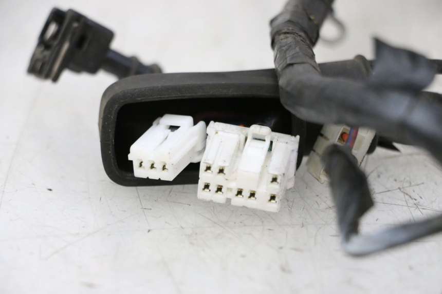 photo de WIRE HARNESS PIAGGIO LXV 4T 50 (2009 - 2013)