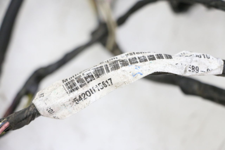 photo de WIRE HARNESS PIAGGIO LXV 4T 50 (2009 - 2013)