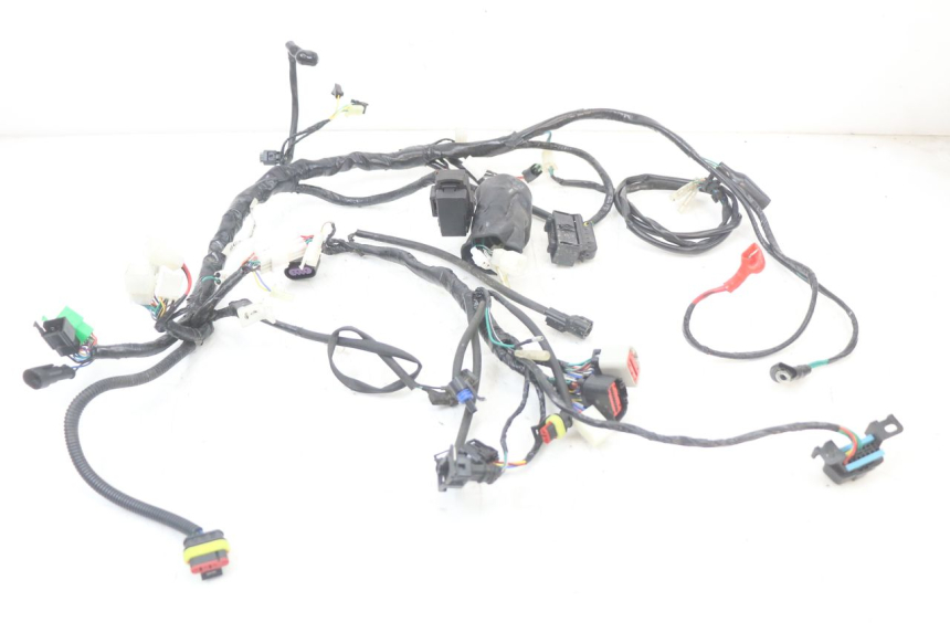 photo de WIRE HARNESS MASAI SCRAMBLER SPORT 125 (2021 - 2025)