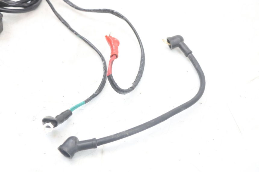 photo de WIRE HARNESS MASAI SCRAMBLER SPORT 125 (2021 - 2025)