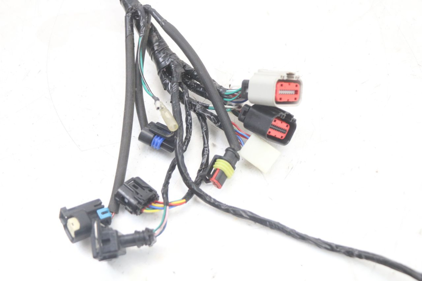 photo de WIRE HARNESS MASAI SCRAMBLER SPORT 125 (2021 - 2025)