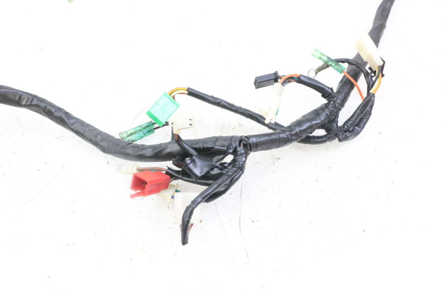 photo de WIRE HARNESS MASAI XL 50 (2012 - 2019)