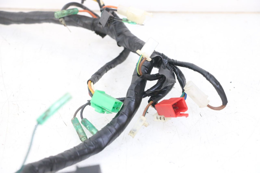 photo de WIRE HARNESS MASAI XL 50 (2012 - 2019)