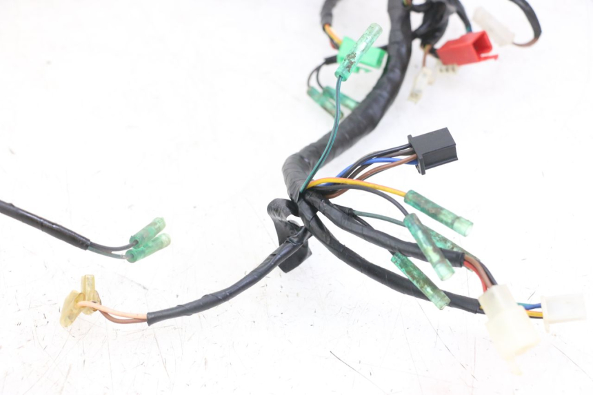 photo de WIRE HARNESS MASAI XL 50 (2012 - 2019)