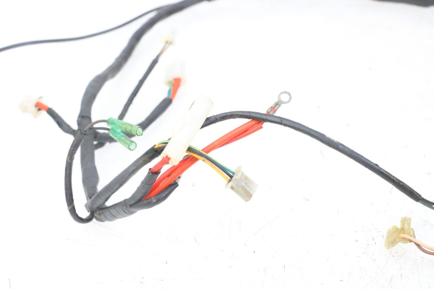 photo de WIRE HARNESS MASAI XL 50 (2012 - 2019)