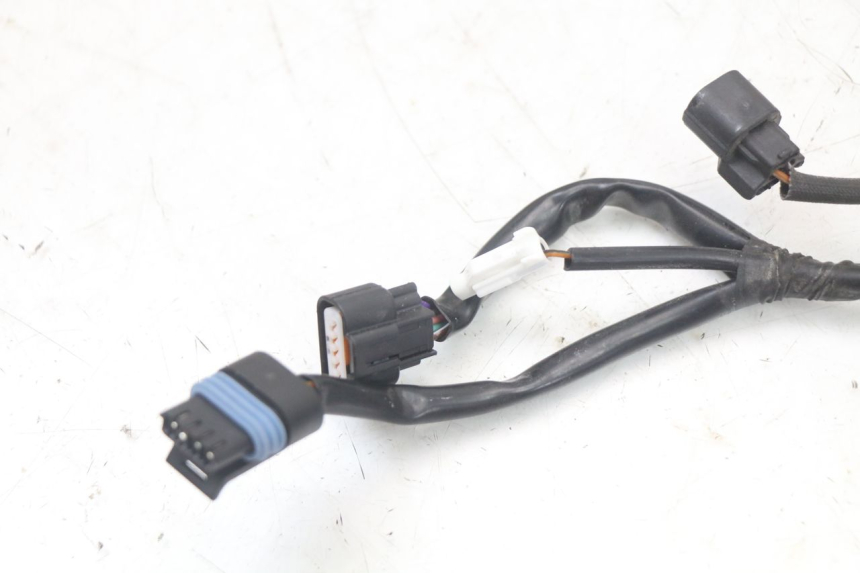 photo de WIRE HARNESS MASH LEGEND'R 4T 50 (2021 - 2025)