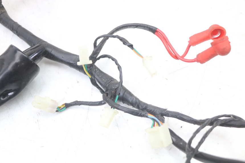 photo de WIRE HARNESS MASH LEGEND'R 4T 50 (2021 - 2025)