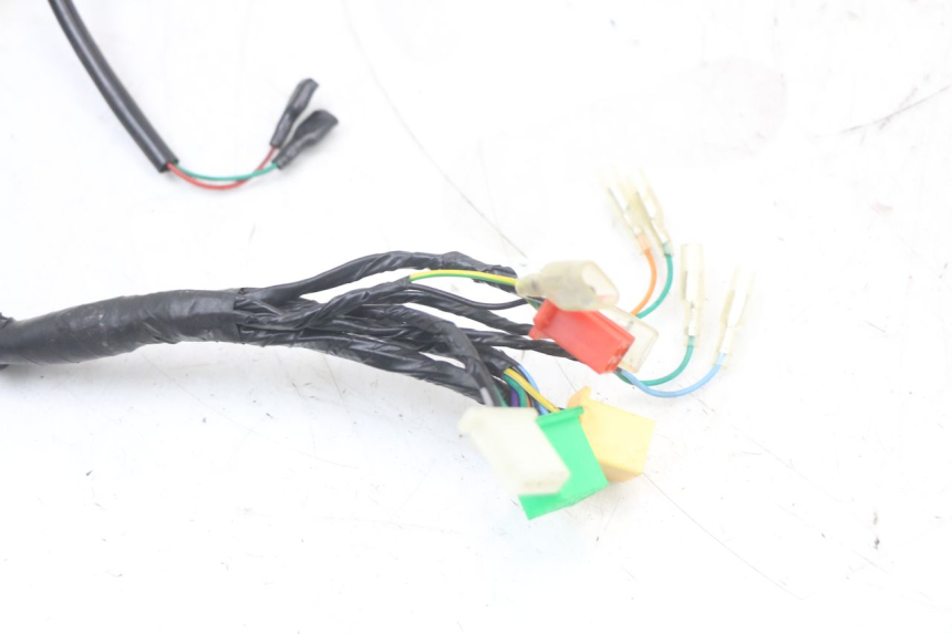 photo de WIRE HARNESS MASH LEGEND'R 4T 50 (2021 - 2025)