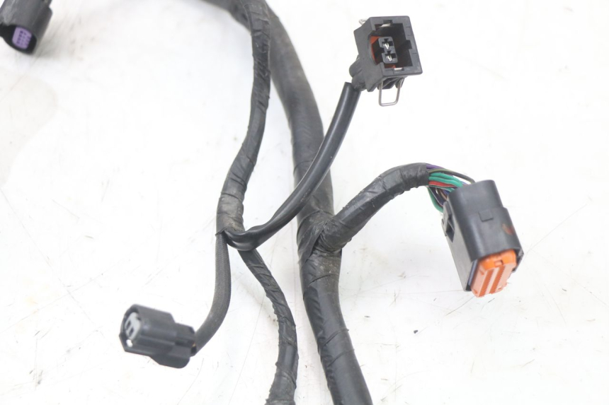 photo de WIRE HARNESS MASH LEGEND'R 4T 50 (2021 - 2025)