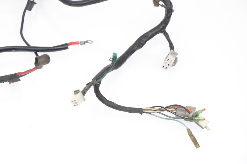 photo de WIRE HARNESS MBK FLAME R 125 (1995 - 2001)