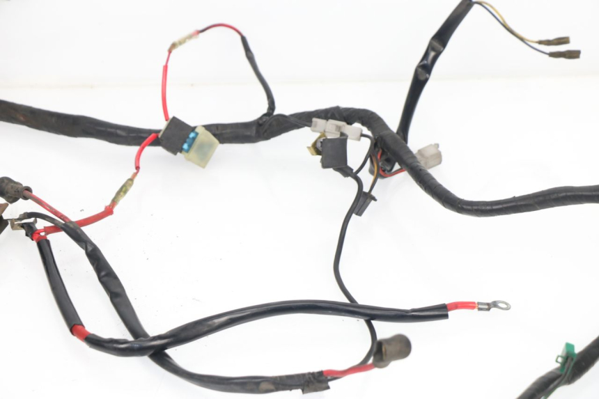 photo de WIRE HARNESS MBK FLAME R 125 (1995 - 2001)