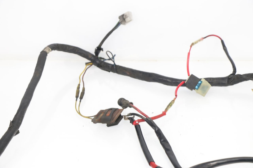 photo de WIRE HARNESS MBK FLAME R 125 (1995 - 2001)