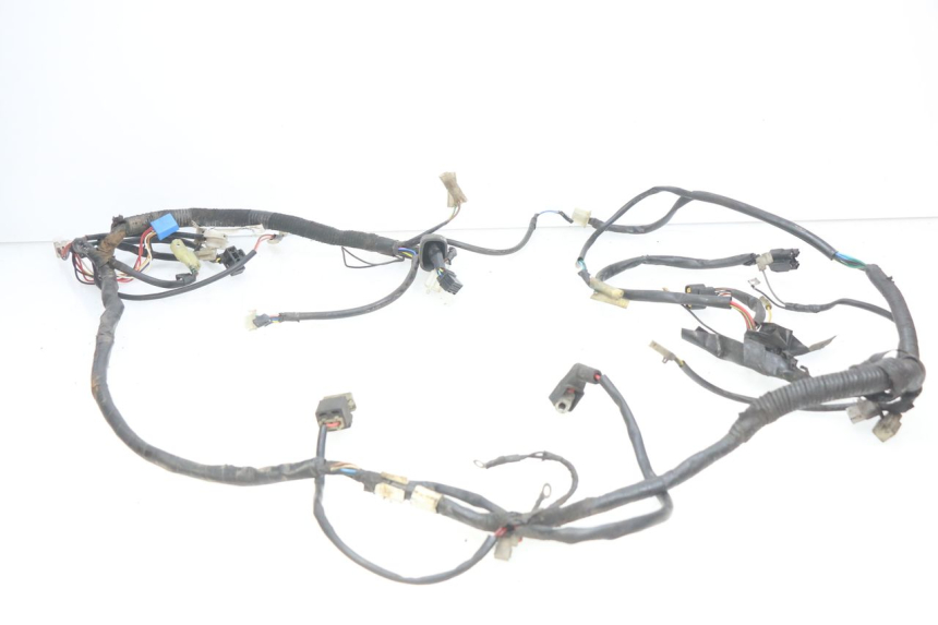 photo de WIRING HARNESS MBK OVETTO 2T 50 (2007 - 2017)