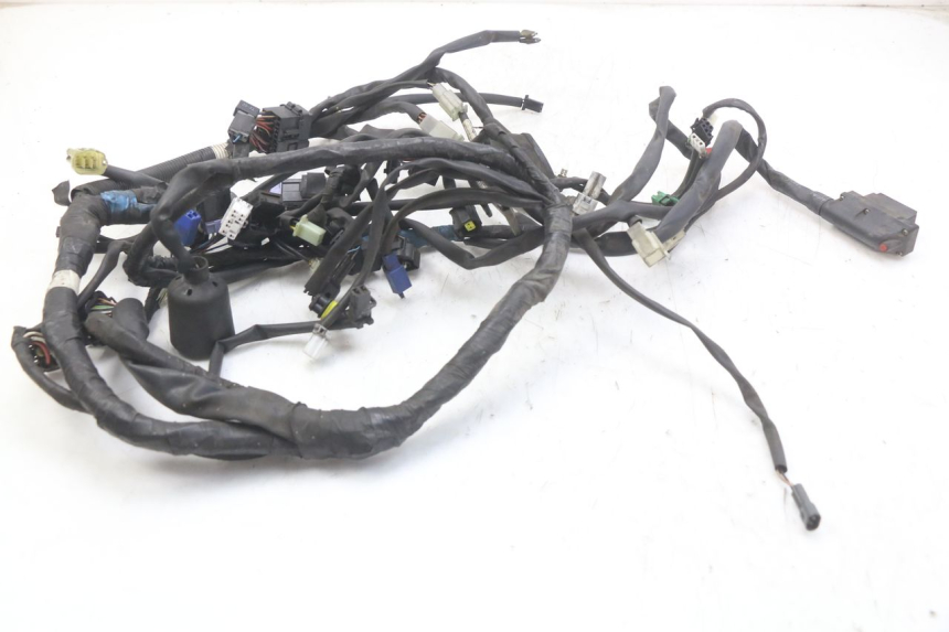 photo de WIRE HARNESS MBK SKYCRUISER 125 (2006 - 2009)