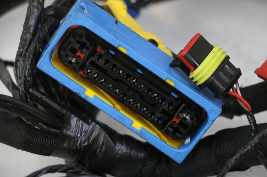 photo de WIRE HARNESS PIAGGIO MP3 HPE 310 (2024 - 2025)