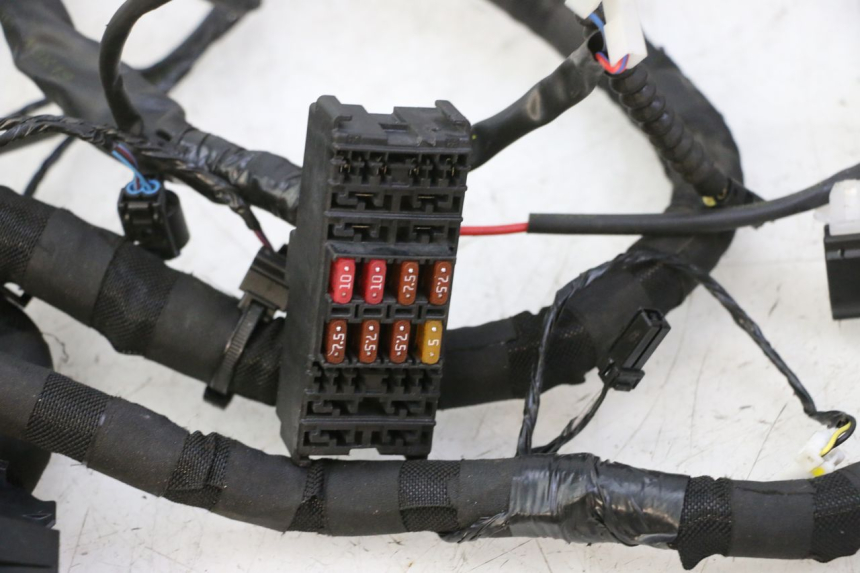 photo de WIRE HARNESS PIAGGIO MP3 HPE 310 (2024 - 2025)