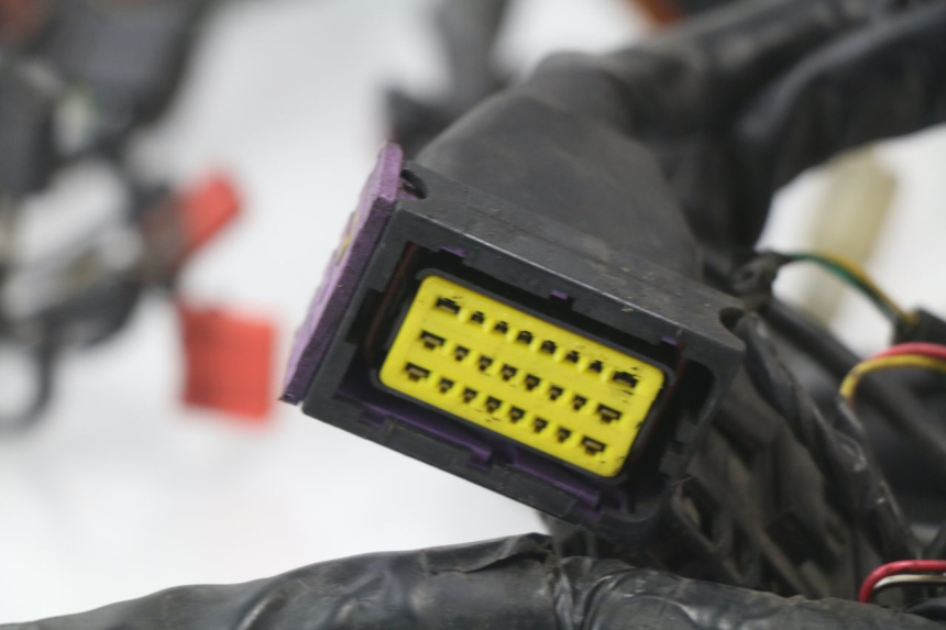 photo de WIRE HARNESS PIAGGIO MP3 LT 400 (2007 - 2012)