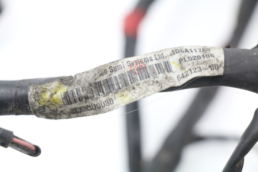 photo de WIRE HARNESS PIAGGIO MP3 LT 400 (2007 - 2012)