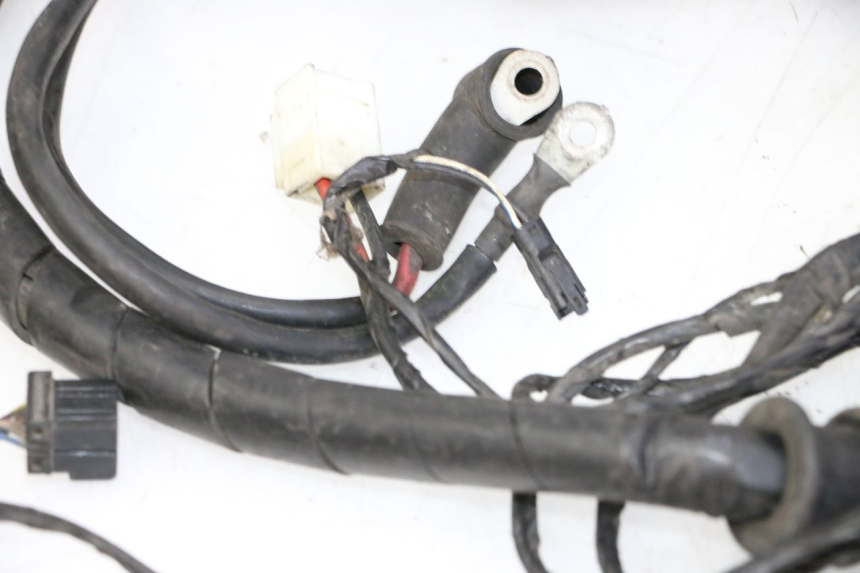 photo de WIRING HARNESS PIAGGIO MP3 LT 300 (2010 - 2016)