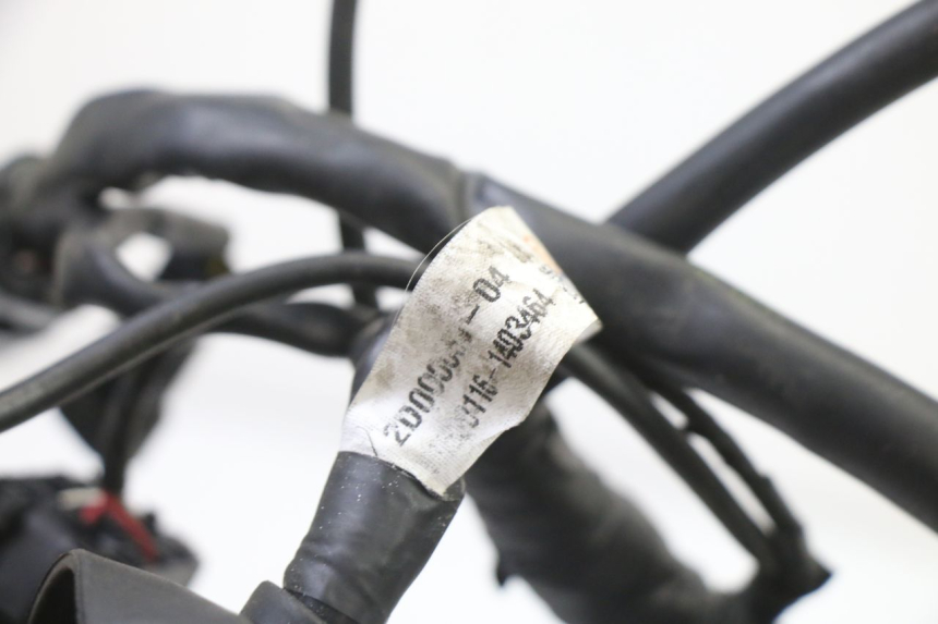 photo de WIRING HARNESS PIAGGIO MP3 500 (2014 - 2016)