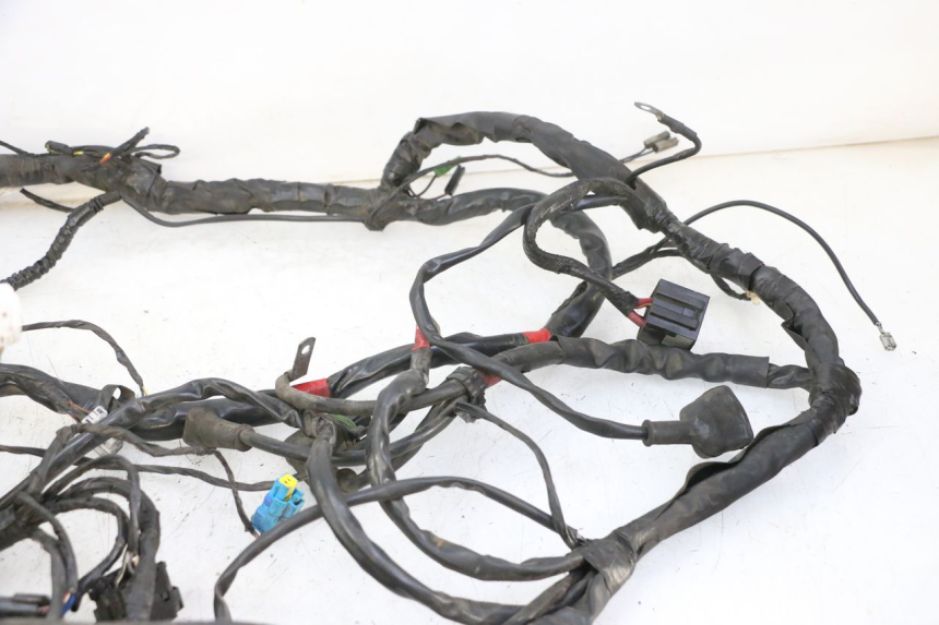 photo de WIRE HARNESS PIAGGIO MP3 125 (2006 - 2014)