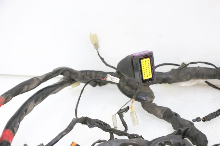 photo de WIRE HARNESS PIAGGIO MP3 125 (2006 - 2014)
