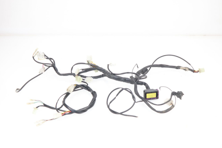 photo de WIRE HARNESS RIEJU MRT 50 (2018 - 2021)