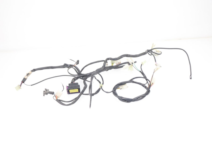 photo de WIRE HARNESS RIEJU MRT 50 (2018 - 2021)