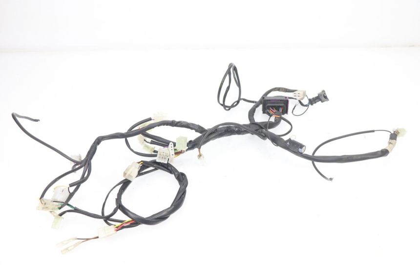photo de WIRE HARNESS RIEJU MRT 50 (2018 - 2021)