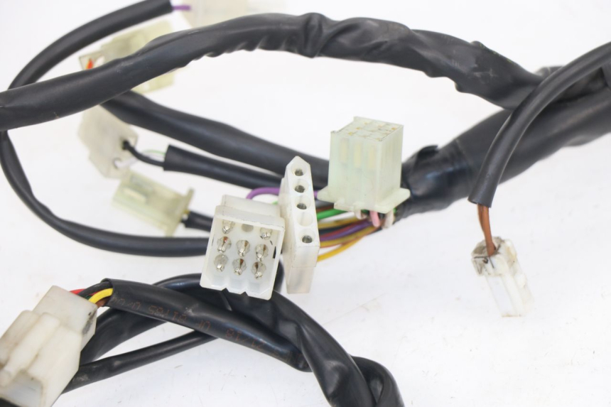 photo de WIRE HARNESS RIEJU MRT 50 (2018 - 2021)