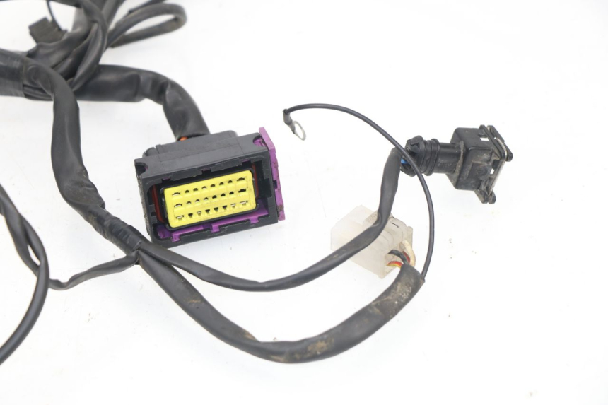 photo de WIRE HARNESS RIEJU MRT 50 (2018 - 2021)
