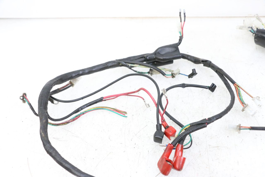 photo de WIRE HARNESS NECO GPX LC 2T 50 (2014 - 2018)