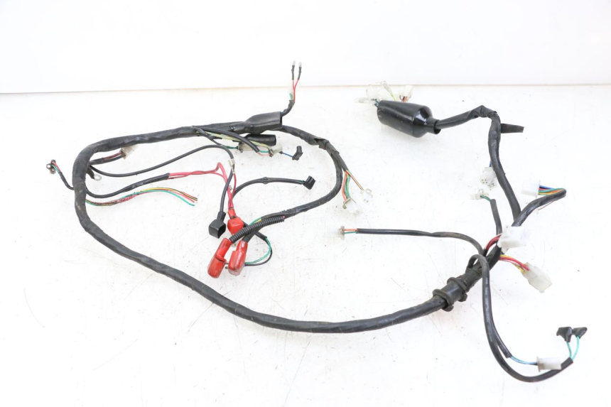 photo de WIRE HARNESS NECO GPX LC 2T 50 (2014 - 2018)