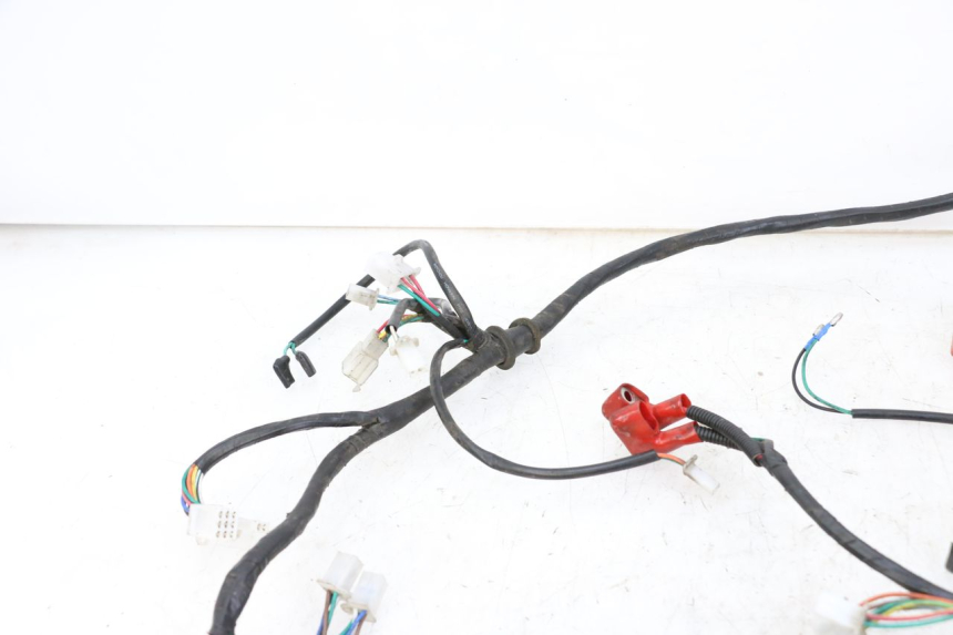 photo de WIRE HARNESS NECO GPX LC 2T 50 (2014 - 2018)