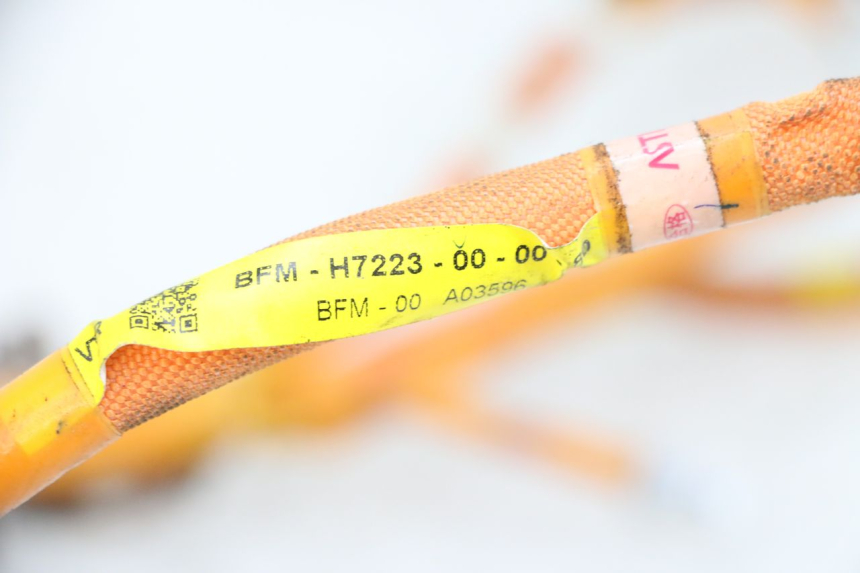 photo de WIRE HARNESS YAMAHA NEO'S CORE 1 (2022 - 2026) - Component detail