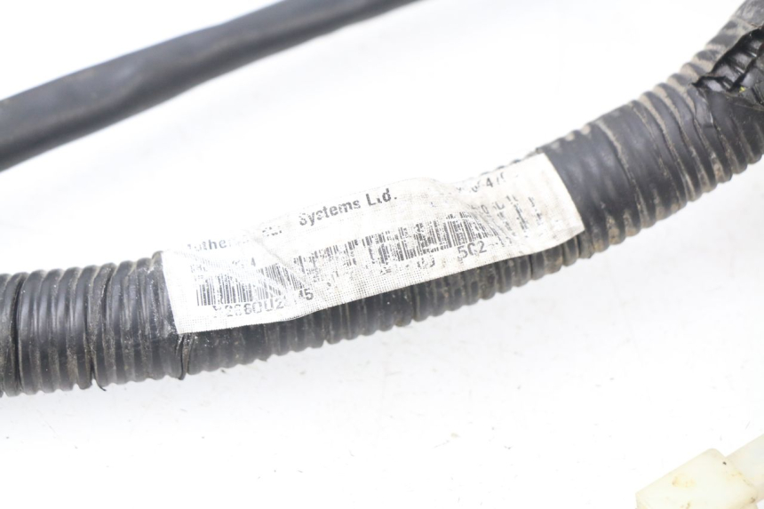 photo de WIRE HARNESS YAMAHA NEO'S NEOS 2T 50 (2007 - 2017)