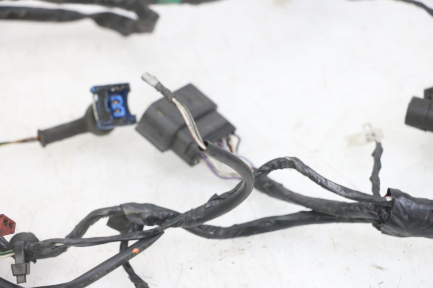 photo de WIRING HARNESS PIAGGIO NEW TYPHOON 50 (2018 - 2021)
