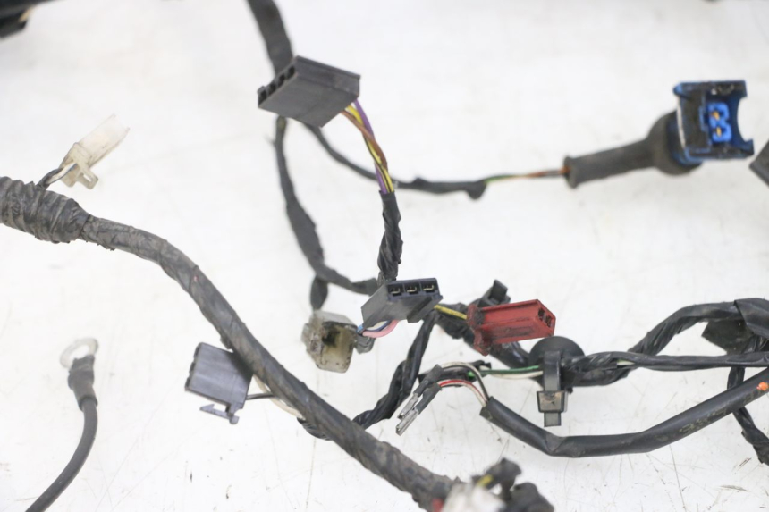 photo de WIRING HARNESS PIAGGIO NEW TYPHOON 50 (2018 - 2021)