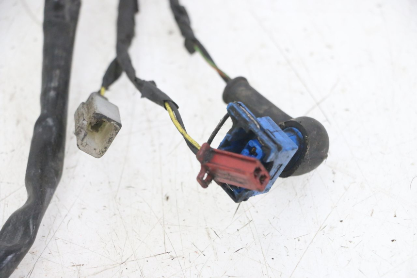 photo de WIRING HARNESS PIAGGIO NEW TYPHOON 50 (2018 - 2021)