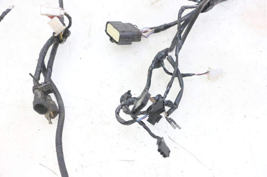 photo de WIRING HARNESS PIAGGIO NEW TYPHOON 50 (2018 - 2021)