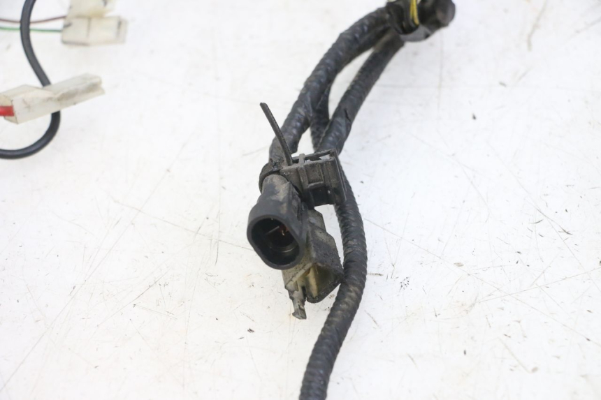 photo de WIRING HARNESS PIAGGIO NEW TYPHOON 50 (2018 - 2021)
