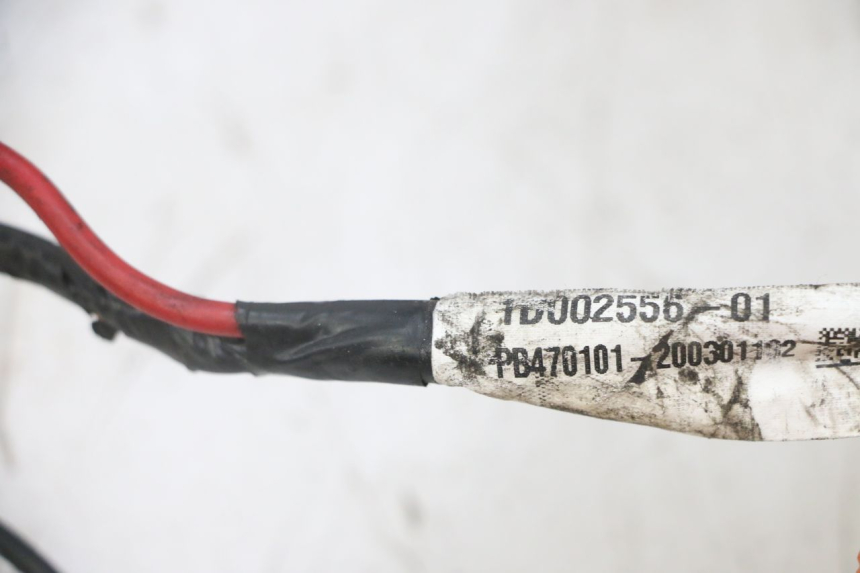 photo de WIRING HARNESS PIAGGIO NEW TYPHOON 50 (2018 - 2021)