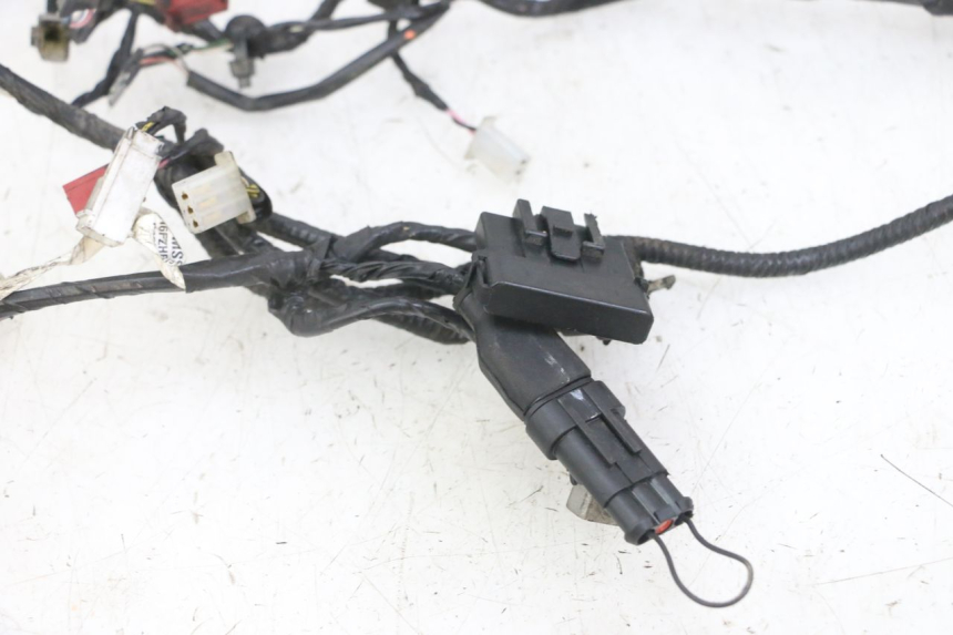 photo de WIRING HARNESS PIAGGIO NEW TYPHOON 50 (2018 - 2021)