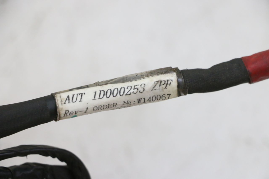 photo de WIRE HARNESS PIAGGIO NEW TYPHOON 50 (2010 - 2017)