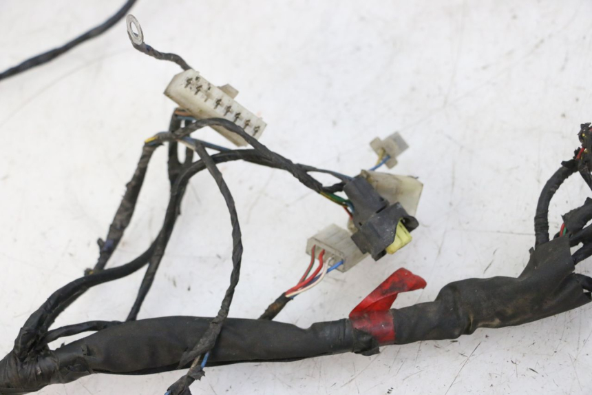 photo de WIRE HARNESS PIAGGIO NEW TYPHOON 50 (2010 - 2017)