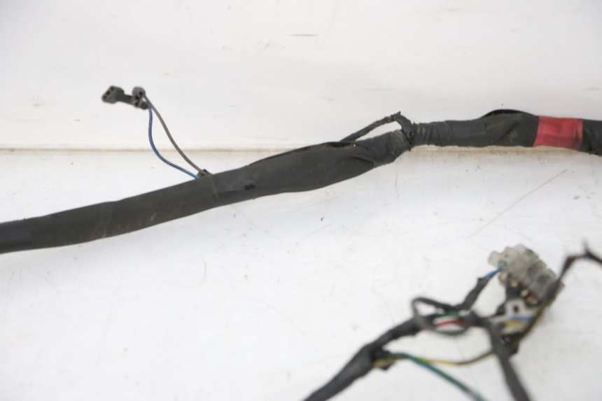 photo de WIRE HARNESS PIAGGIO NEW TYPHOON 50 (2010 - 2017)