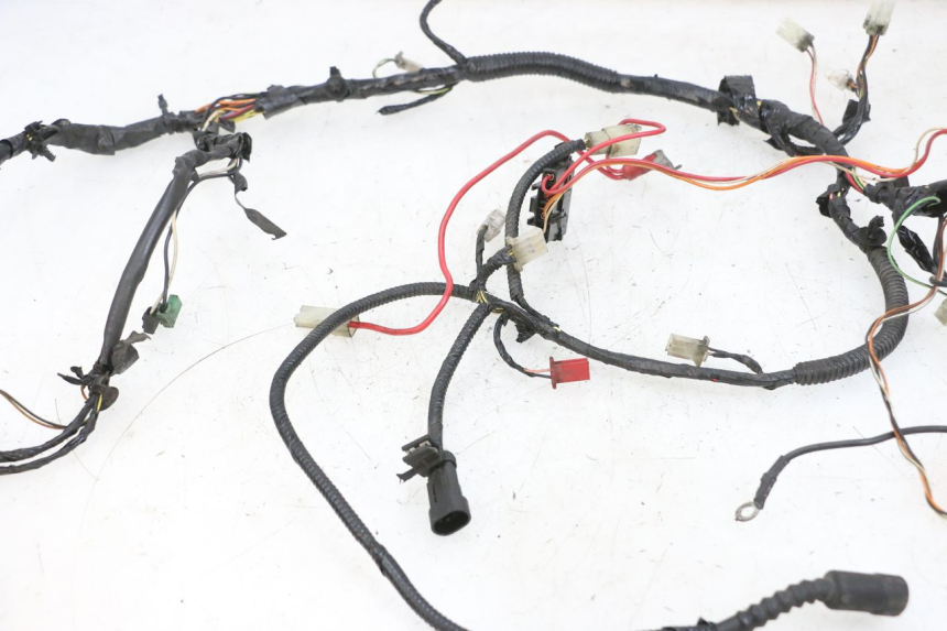 photo de WIRING HARNESS PIAGGIO NEW TYPHOON 50 (2018 - 2021) - Alternative perspective