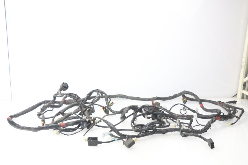 photo de WIRING HARNESS GILERA NEXUS 125 (2009 - 2013)
