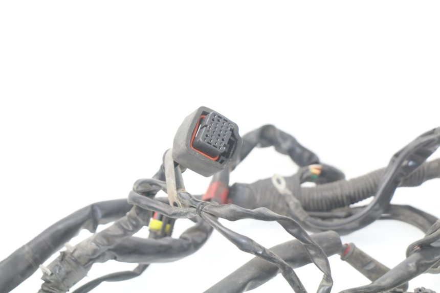 photo de WIRING HARNESS GILERA NEXUS 125 (2009 - 2013)